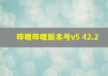 哔哩哔哩版本号v5 42.2